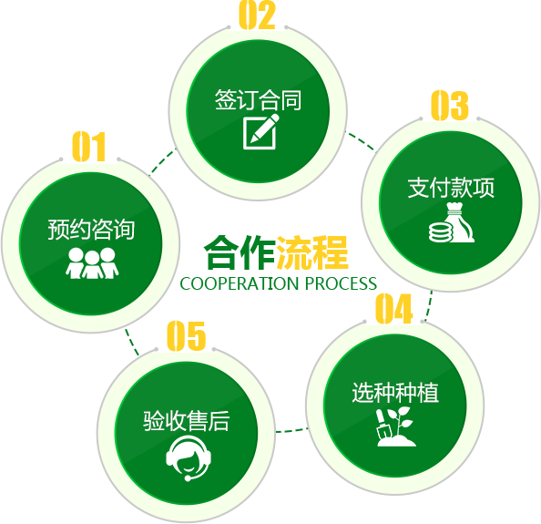 景观树木种植类网站织梦模板(带手机端)