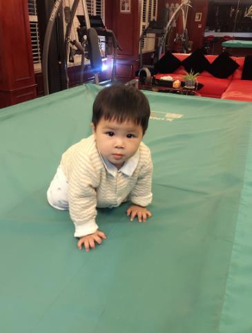 杨子黄圣依小儿子一周岁啦!颜值超高登顶微博