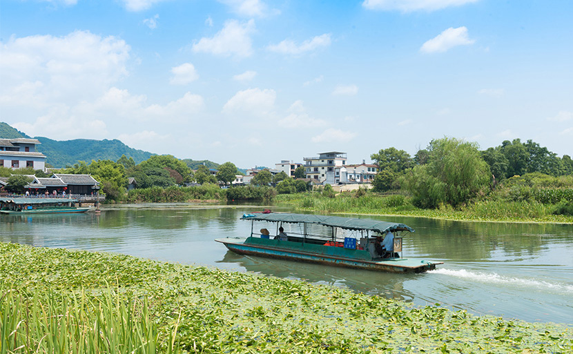 游桂林会仙湿地——不可错过的璀璨绿明珠