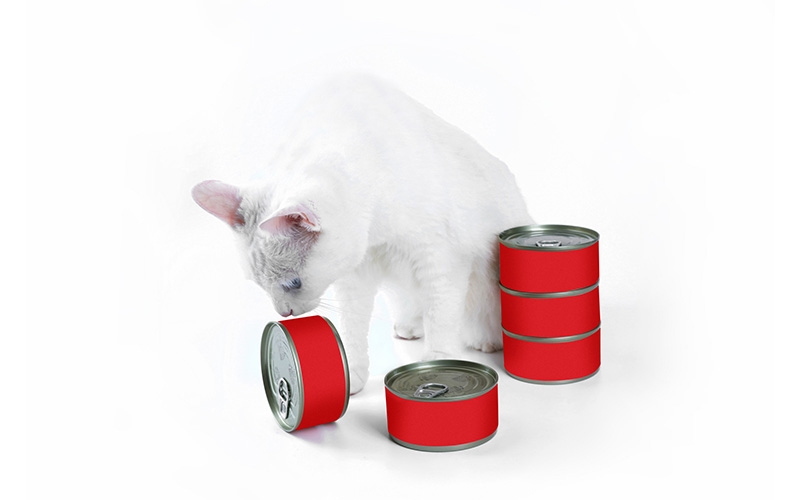 猫罐头种类2