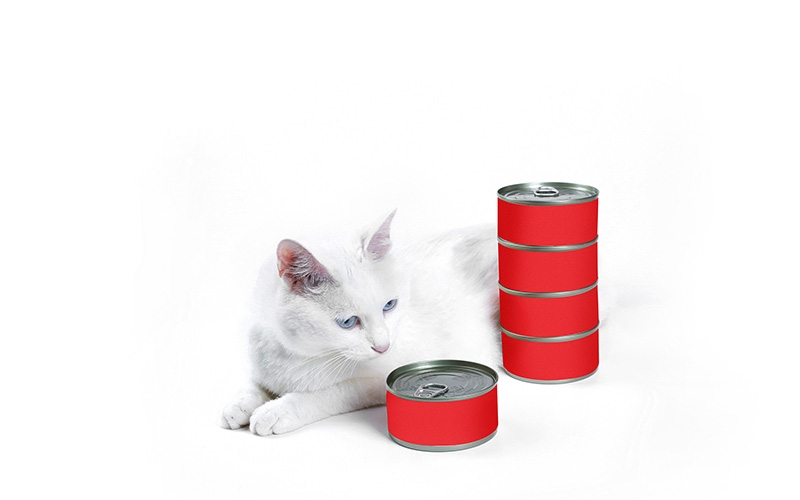 猫罐头种类1