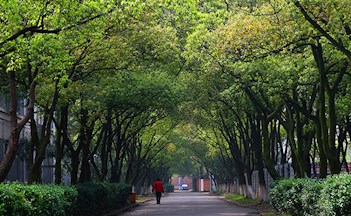 学校风光