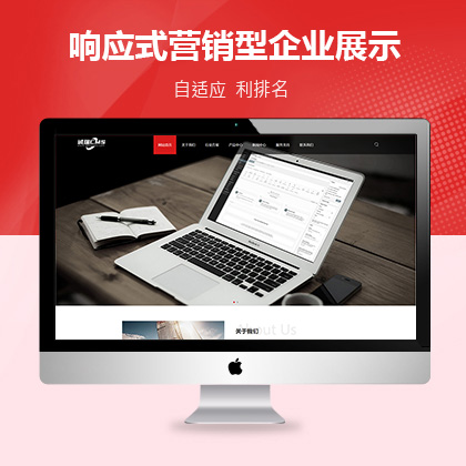 响应式营销型企业展示类网站大唐cms模板